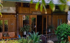 Desi House Tả Van - Sapa With Mountain View